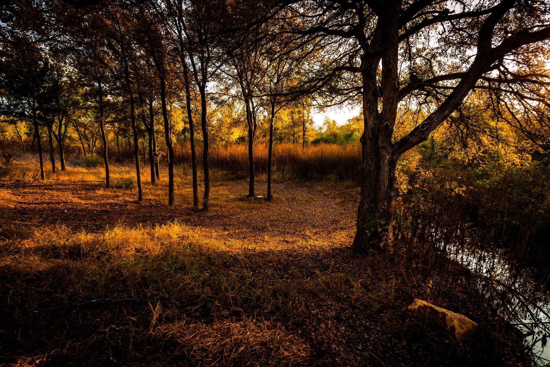 20171104_PepperCreek_011.jpg -  by Charles Smith Photography