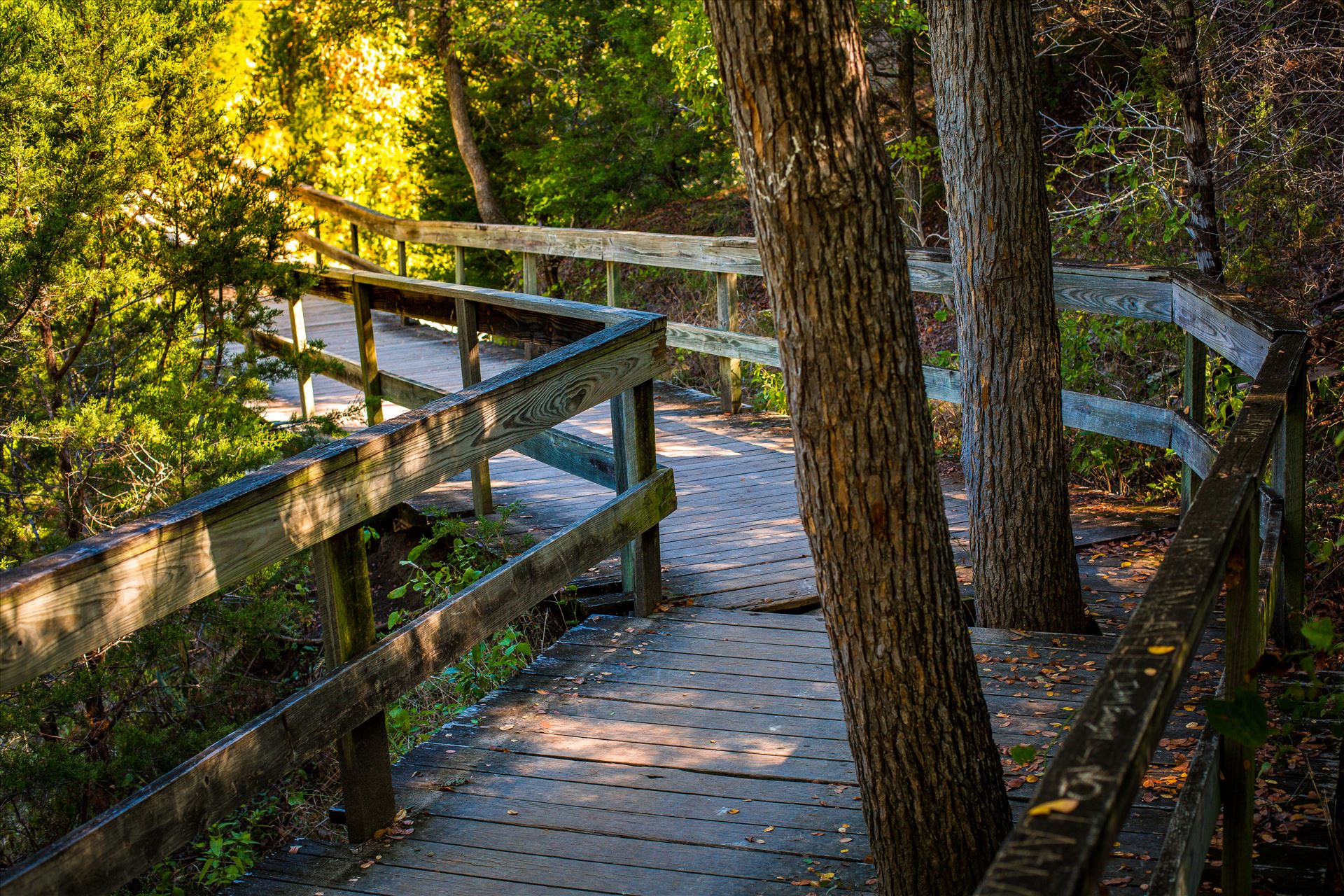 20171001_Chalk Ridg Falls_077.jpg