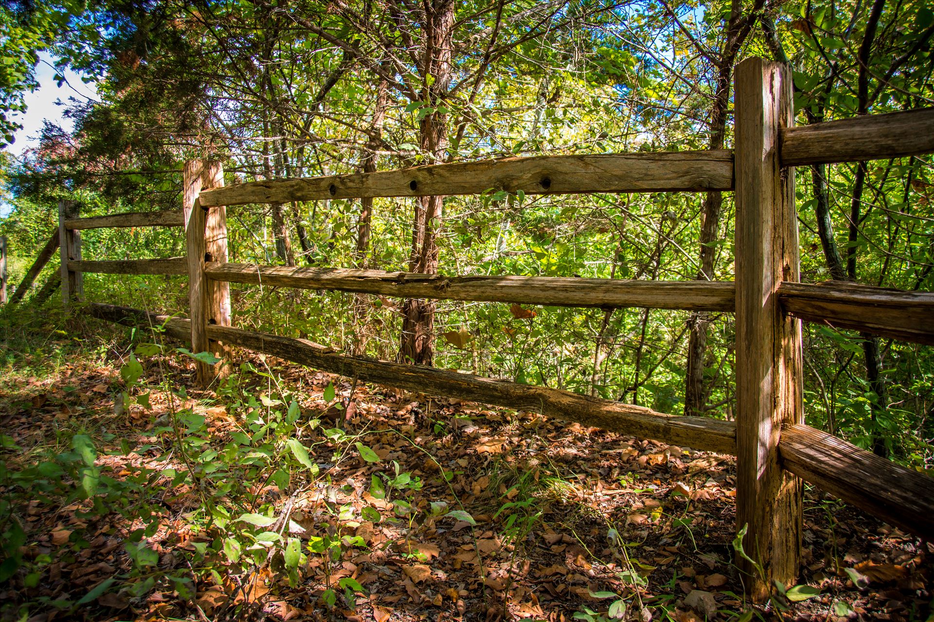 20170924_Chalk Ridge Falls_025.jpg -  by Charles Smith Photography