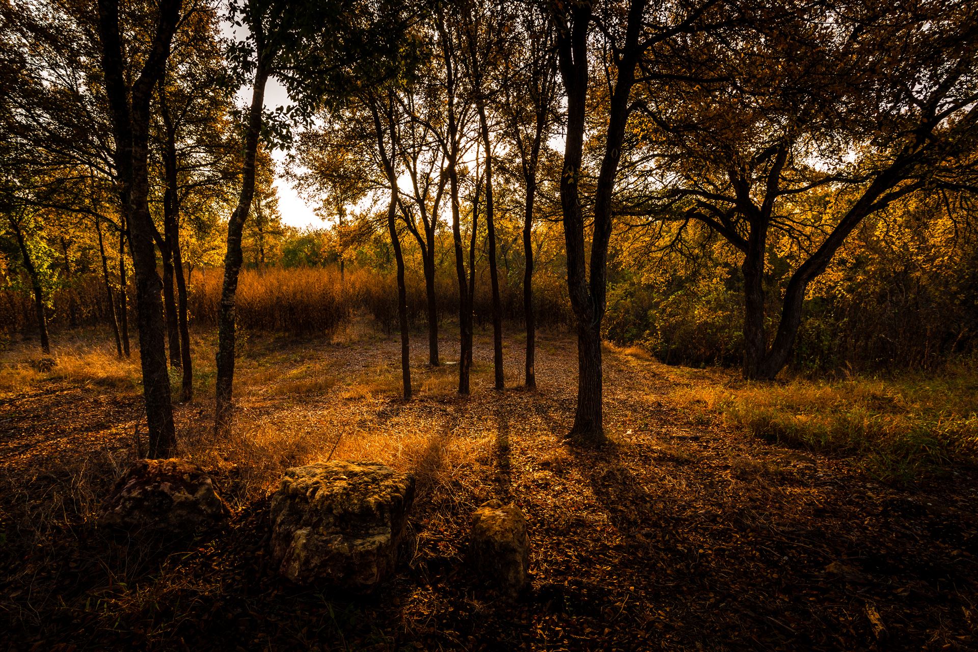 20171104_PepperCreek_016.jpg -  by Charles Smith Photography
