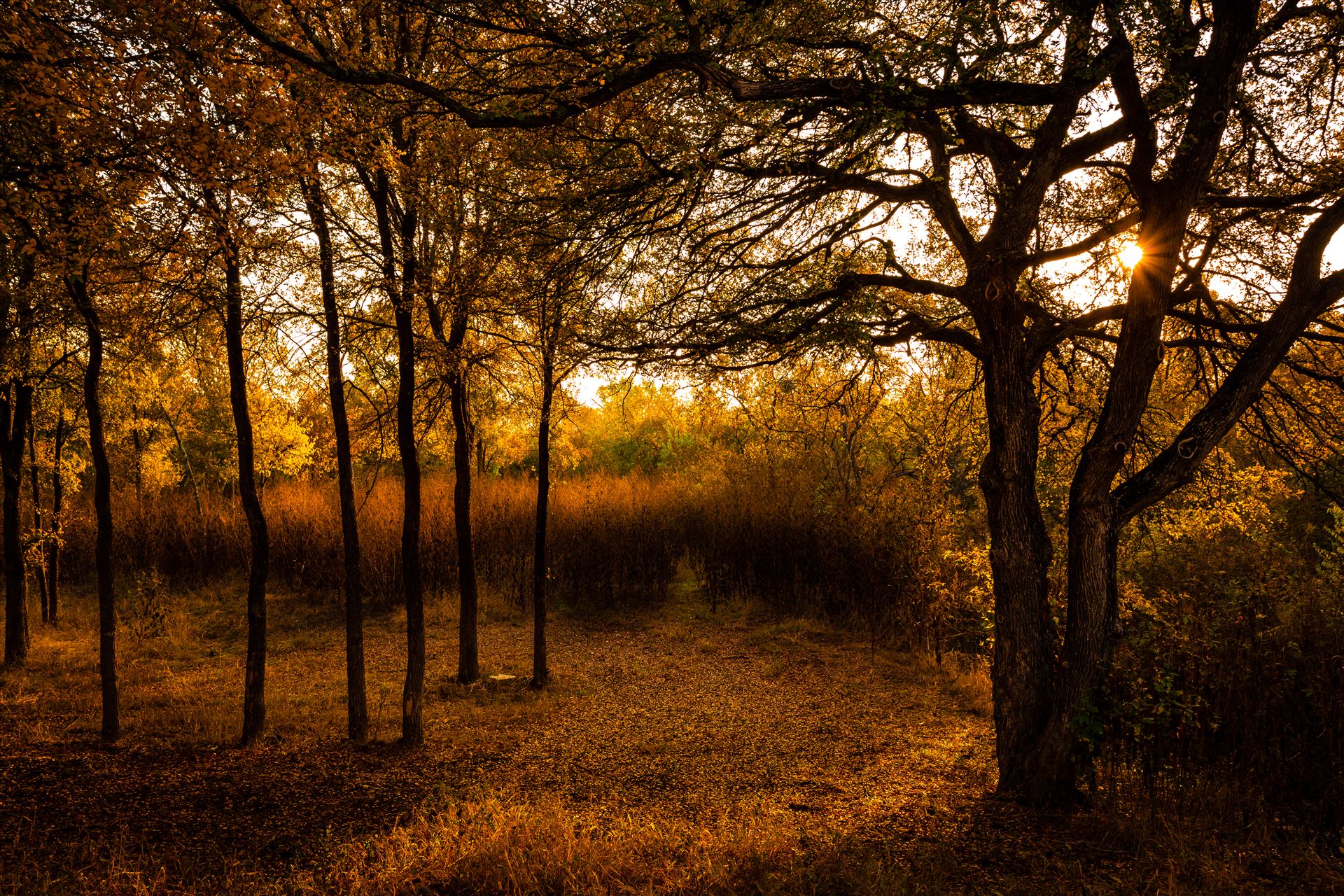 20171104_PepperCreek_009.jpg -  by Charles Smith Photography