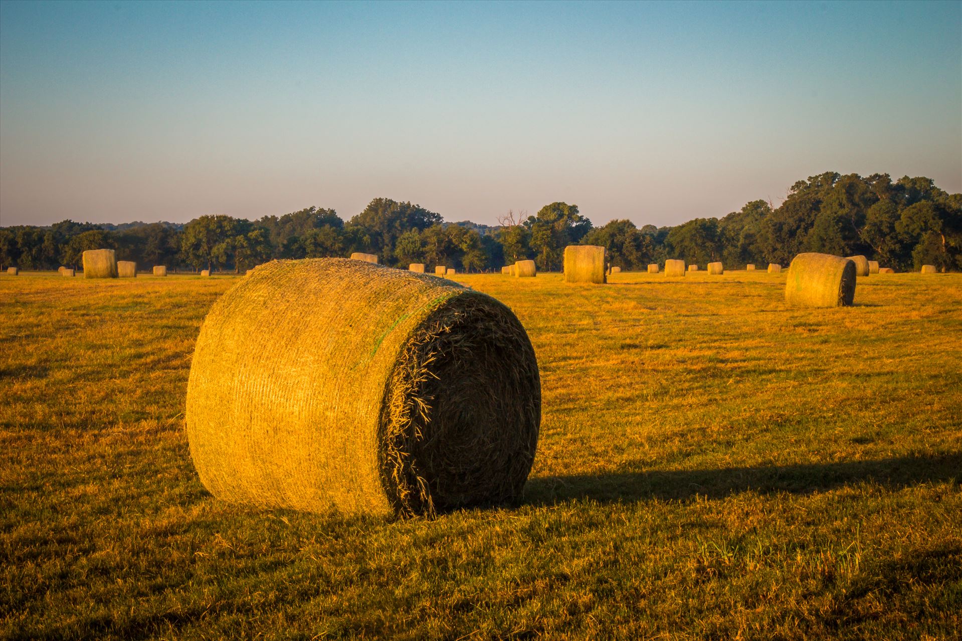 20170819_Hay Field_022.jpg