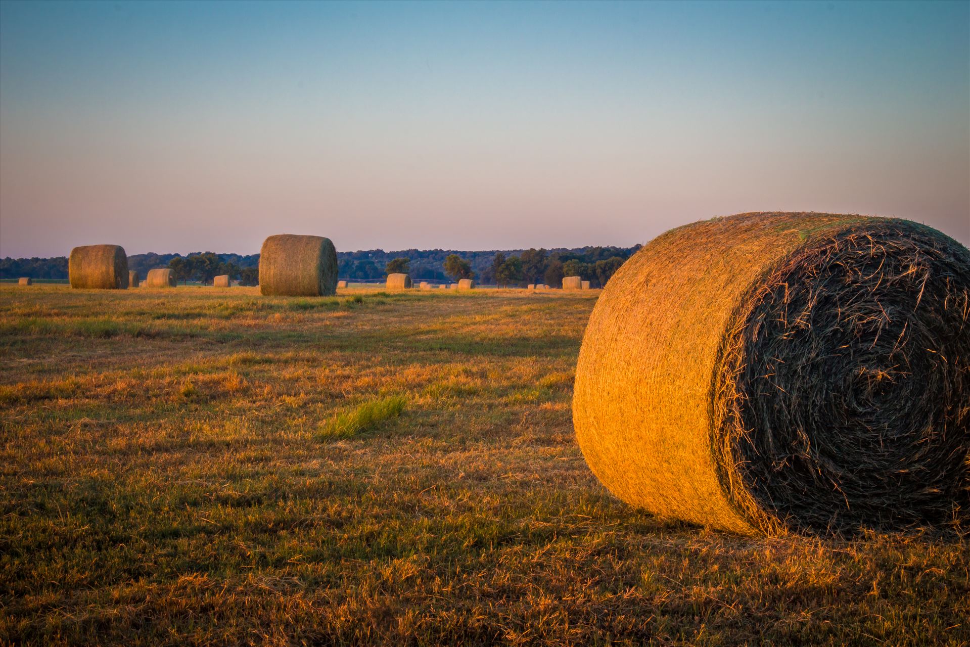 20170819_Hay Field_012.jpg