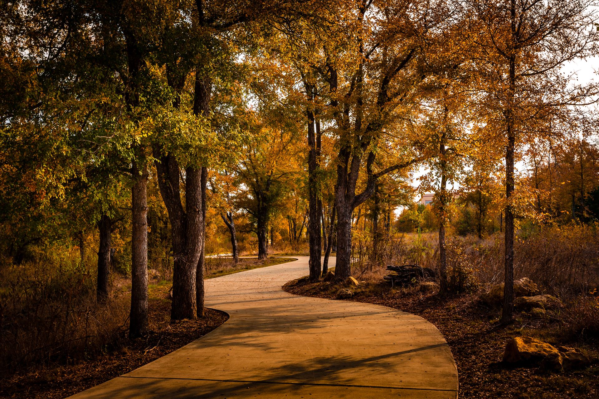 20171104_PepperCreek_047.jpg -  by Charles Smith Photography