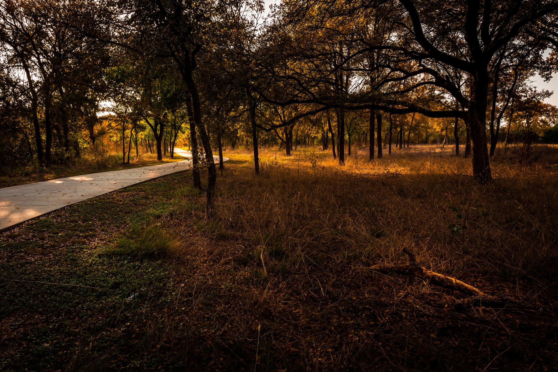 20171104_PepperCreek_027.jpg