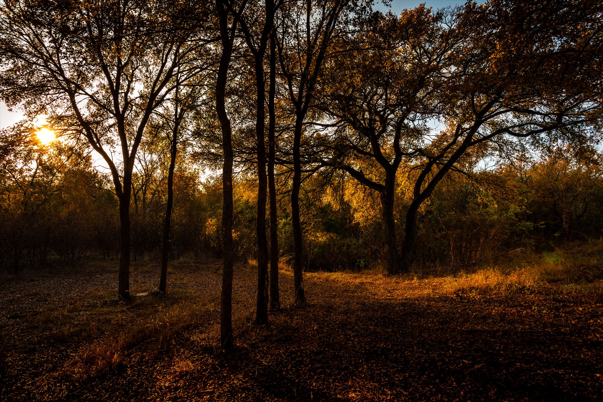 20171104_PepperCreek_014.jpg -  by Charles Smith Photography