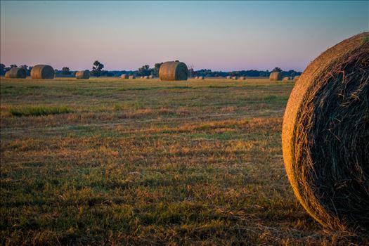 20170819_Hay Field_011.jpg - 