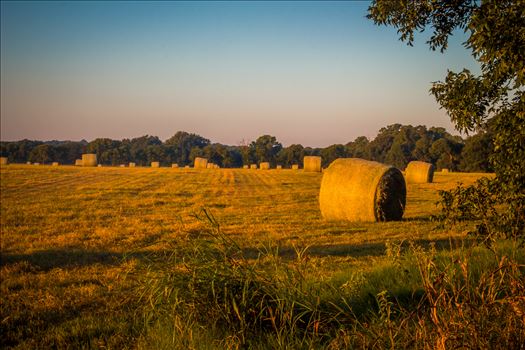 20170819_Hay Field_019.jpg - 