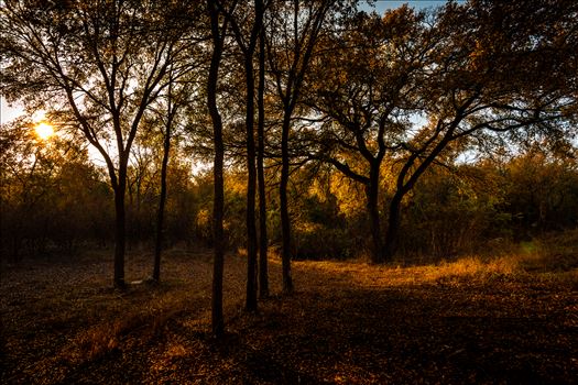 20171104_PepperCreek_014.jpg - 